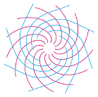 Illustration of spirals on pine cone